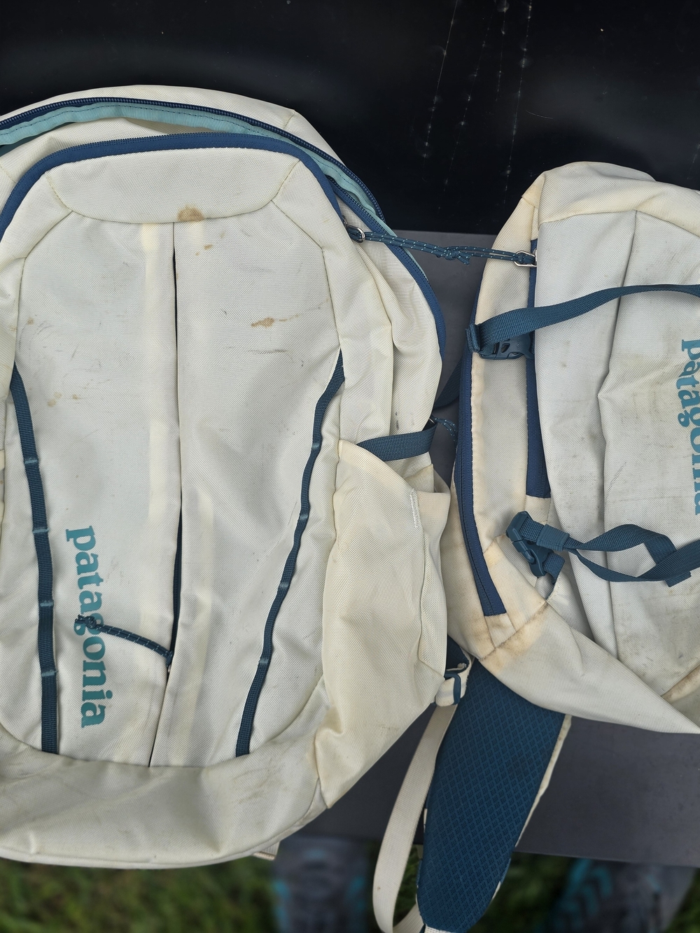 Patagonia Off-White and Teal Backpack - Bargain Bundle